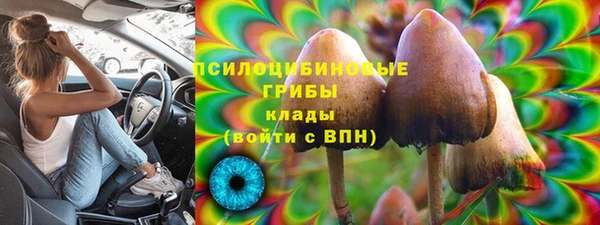 спайс Верея